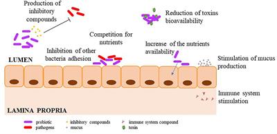 Benefits and Inputs From Lactic Acid Bacteria and Their Bacteriocins as Alternatives to Antibiotic Growth Promoters During Food-Animal Production